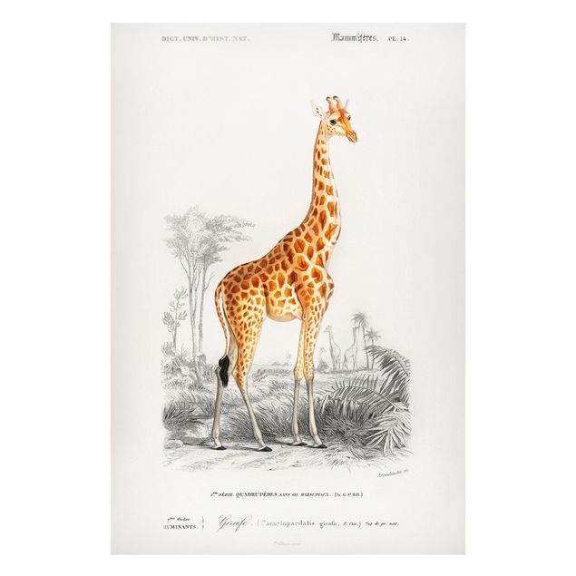 Magneetborden Vintage Board Giraffe