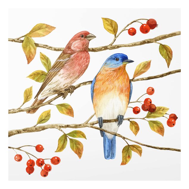 Spatscherm keuken Birds And Berries - Bluebird