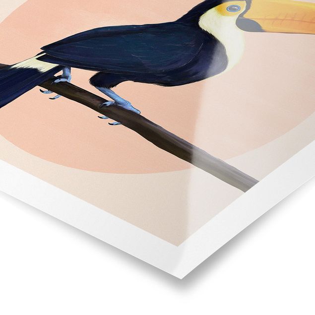 Posters Illustration Bird Toucan Painting Pastel
