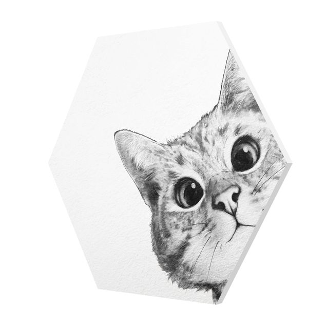 Hexagons Forex schilderijen Illustration Cat Drawing Black And White