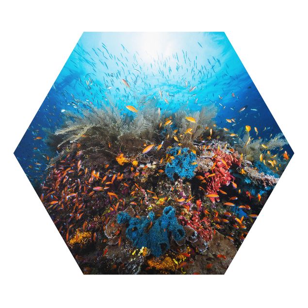 Hexagons Forex schilderijen Lagoon Underwater