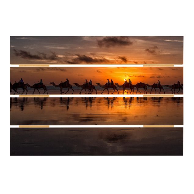 Houten schilderijen op plank Camel Safari