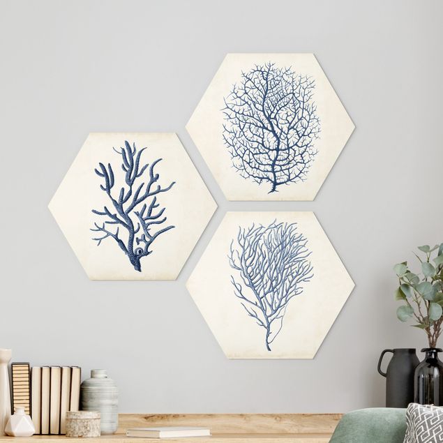 Hexagons Forex schilderijen - 3-delig Indigo Coral Set I