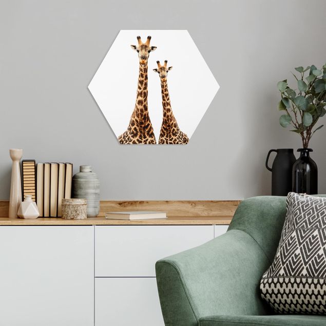 Hexagons Forex schilderijen Portait Of Two Giraffes