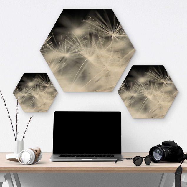 Hexagons houten schilderijen Moving Dandelions Close Up On Black Background