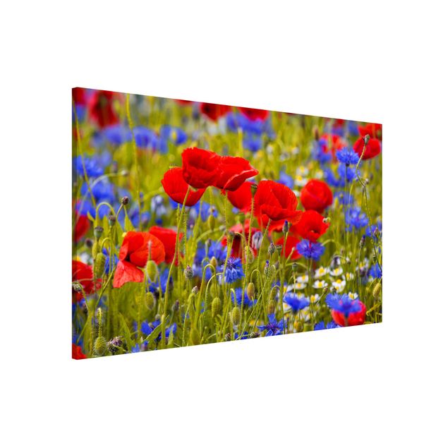 Magneetborden Summer Meadow With Poppies And Cornflowers