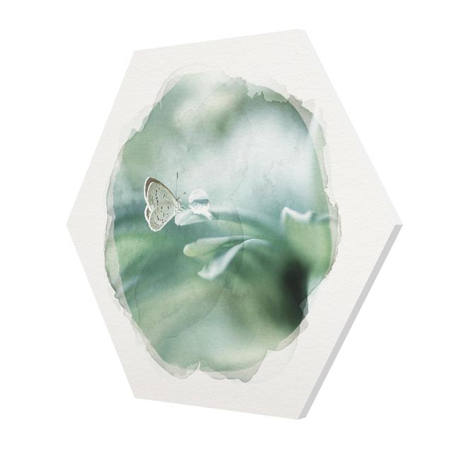 Hexagons Forex schilderijen WaterColours - Butterfly And Dew Drops In Pastel Green