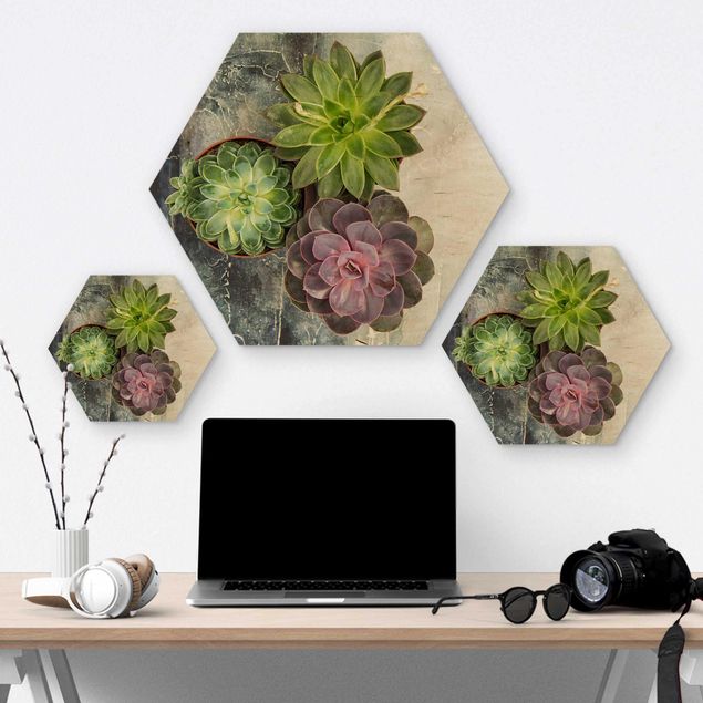 Hexagons houten schilderijen Three succulents