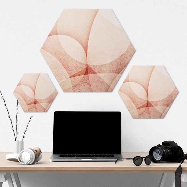 Hexagons Aluminium Dibond schilderijen Abstract Graphics In Peach-Colour