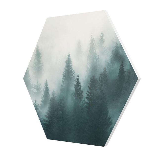 Hexagons Forex schilderijen Coniferous Forest In Fog