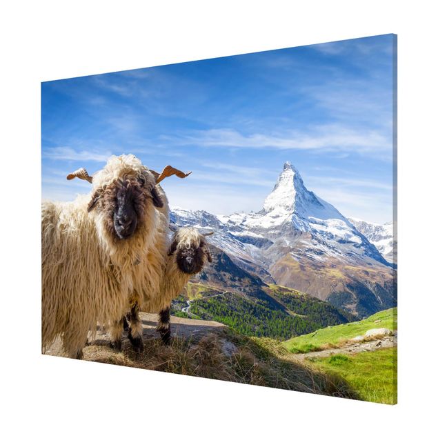 Magneetborden Blacknose Sheep Of Zermatt