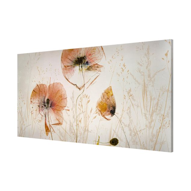Magneetborden Dried Poppy Flowers With Delicate Grasses