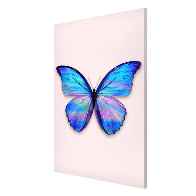 Magneetborden Holographic Butterfly