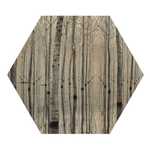 Hexagons houten schilderijen Birches In November