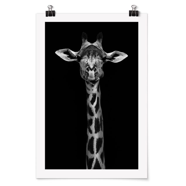 Posters Dark Giraffe Portrait