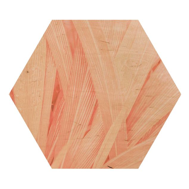 Hexagons houten schilderijen Palm Leaves Light Pink