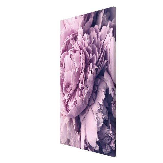 Magneetborden Purple Peony Blossoms