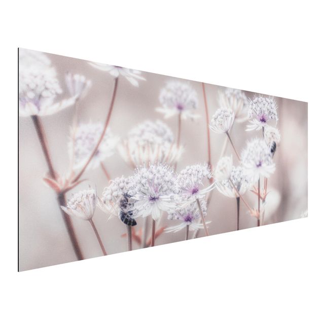 Aluminium Dibond schilderijen Wild Flowers Light As A Feather