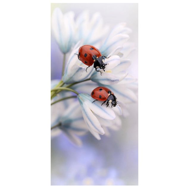 Ruimteverdeler Ladybird Couple