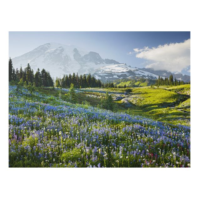 Aluminium Dibond schilderijen - Mountain Meadow With Blue Flowers in Front of Mt. Rainier