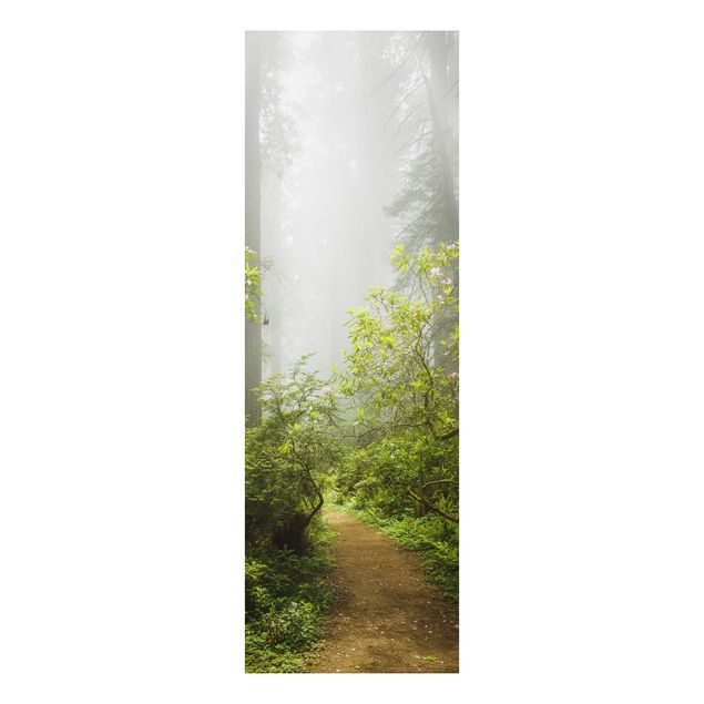 Aluminium Dibond schilderijen Misty Forest Path
