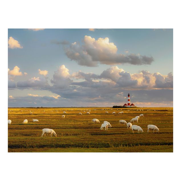 Aluminium Dibond schilderijen North Sea Lighthouse With Flock Of Sheep