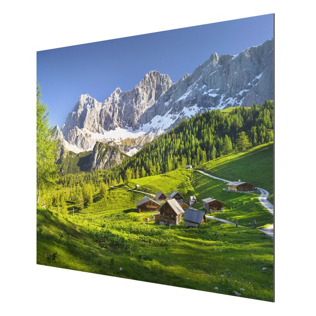Aluminium Dibond schilderijen Styria Alpine Meadow