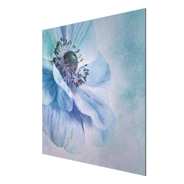 Aluminium Dibond schilderijen Flower In Turquoise