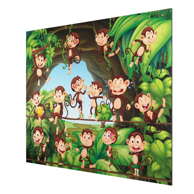 Aluminium Dibond schilderijen Jungle Monkeys