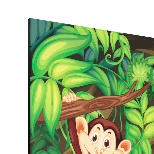 Aluminium Dibond schilderijen Jungle Monkeys