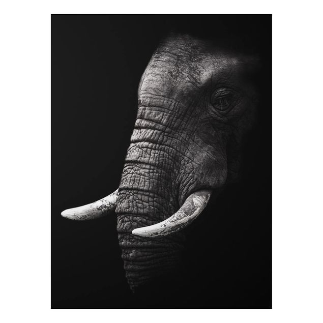 Aluminium Dibond schilderijen Dark Elephant Portrait