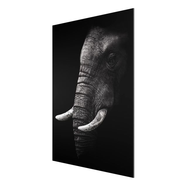 Aluminium Dibond schilderijen Dark Elephant Portrait