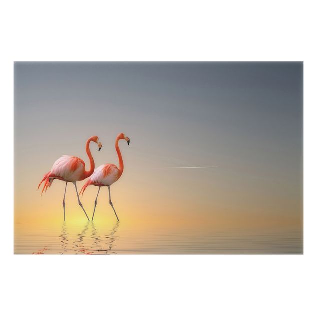 Aluminium Dibond schilderijen Flamingo Love