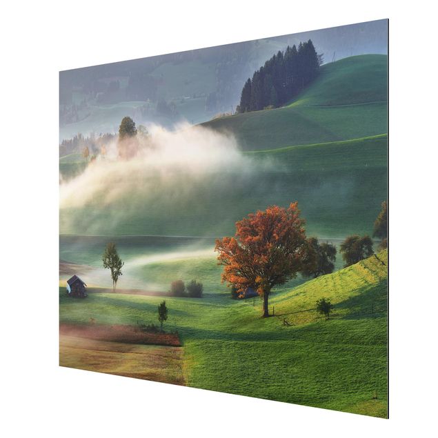 Aluminium Dibond schilderijen Misty Autumn Day Switzerland