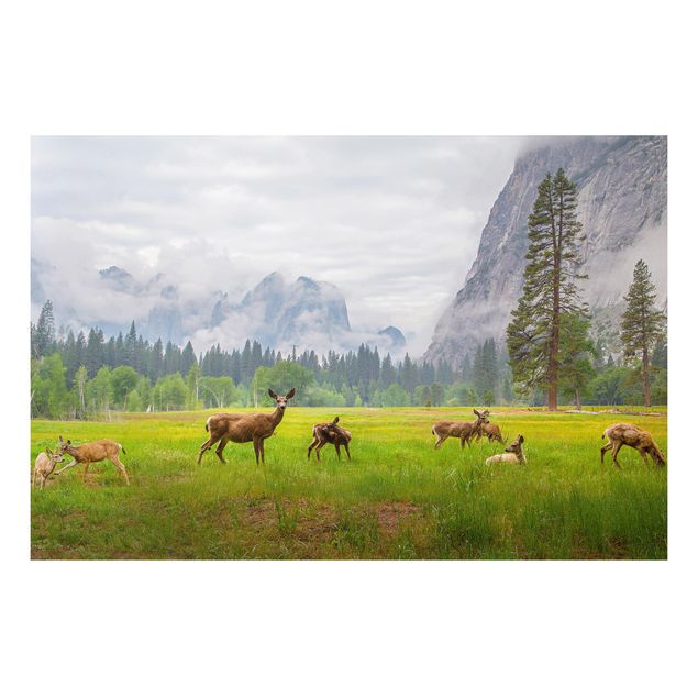 Aluminium Dibond schilderijen Deer In The Mountains