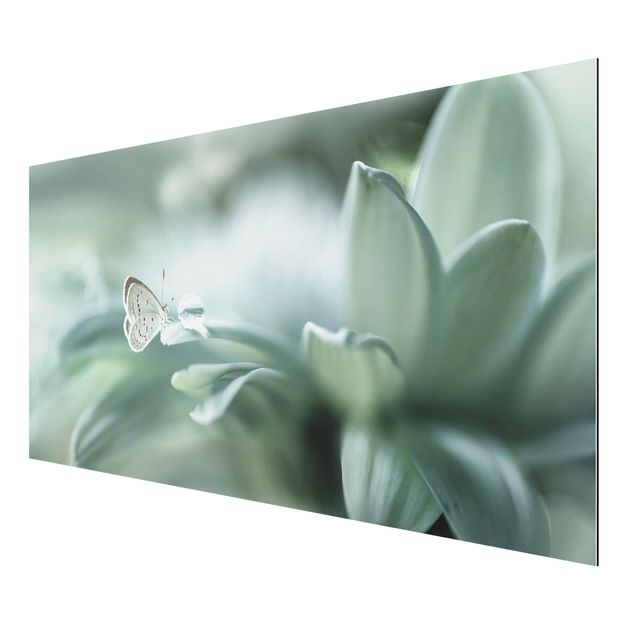 Aluminium Dibond schilderijen Butterfly And Dew Drops In Pastel Green