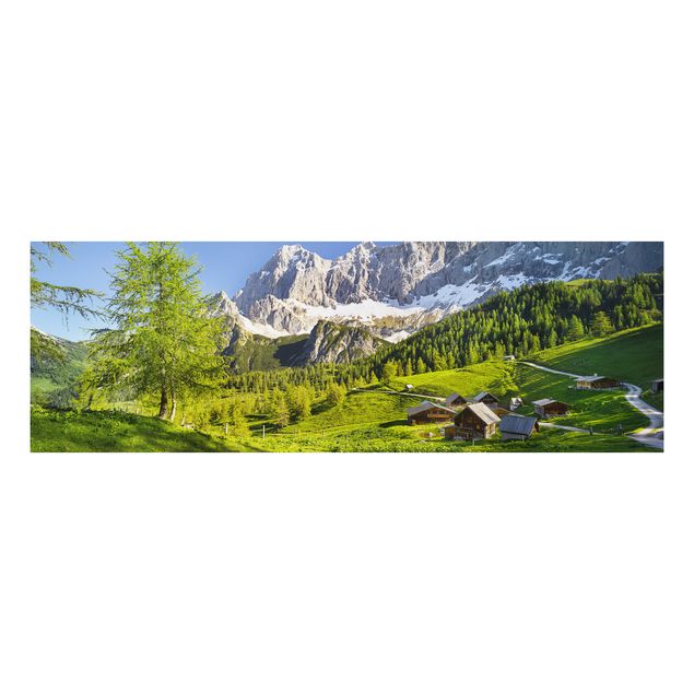 Aluminium Dibond schilderijen Styria Alpine Meadow
