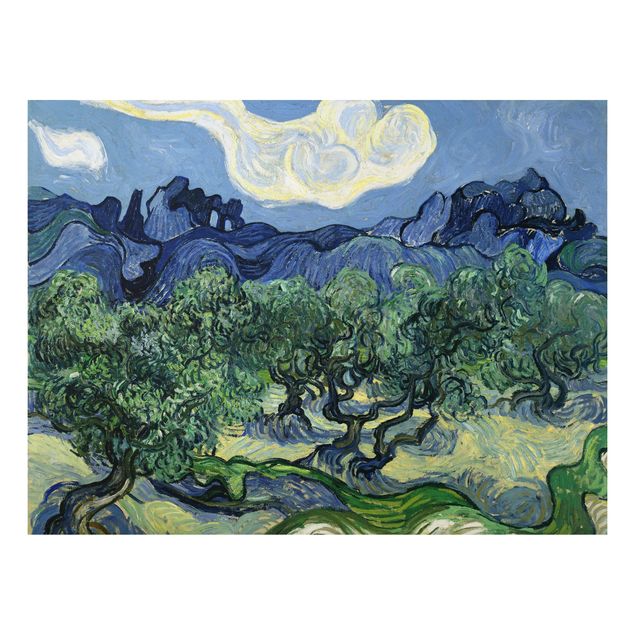 Aluminium Dibond schilderijen Vincent Van Gogh - Olive Trees