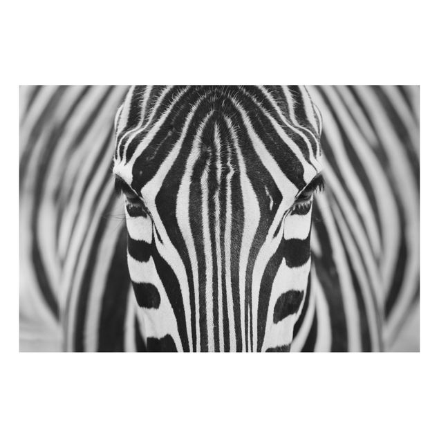 Aluminium Dibond schilderijen Zebra Look