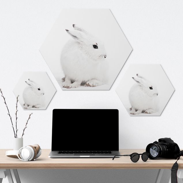 Hexagons Aluminium Dibond schilderijen Arctic Hare