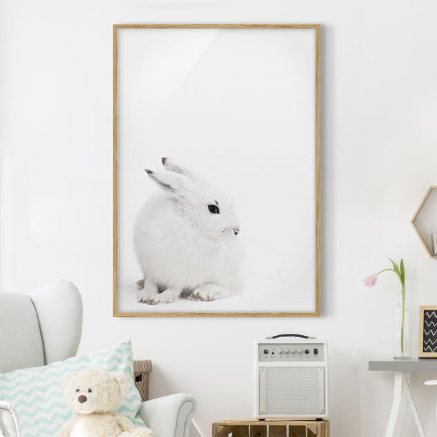 Ingelijste posters Arctic Hare