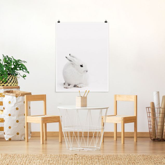 Posters Arctic Hare