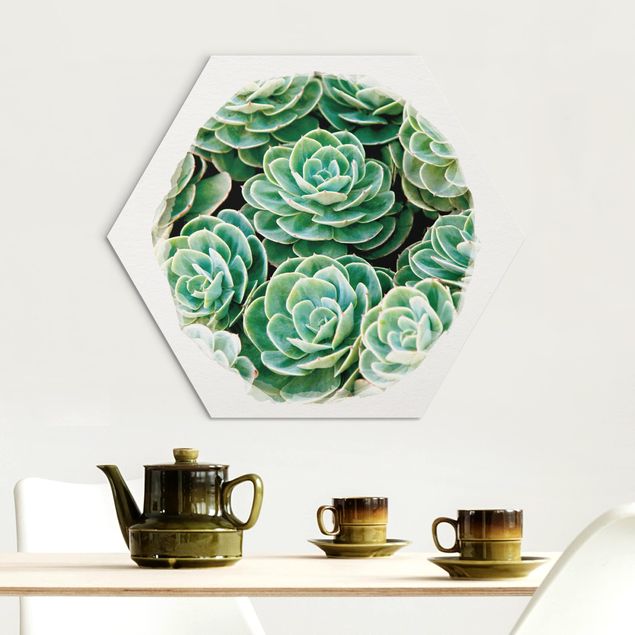 Hexagons Aluminium Dibond schilderijen Water Colours - Green Succulents