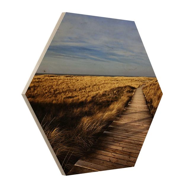 Hexagons houten schilderijen Dune Path On Sylt