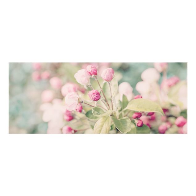 Spatscherm keuken Apfelblüte Bokeh rosa