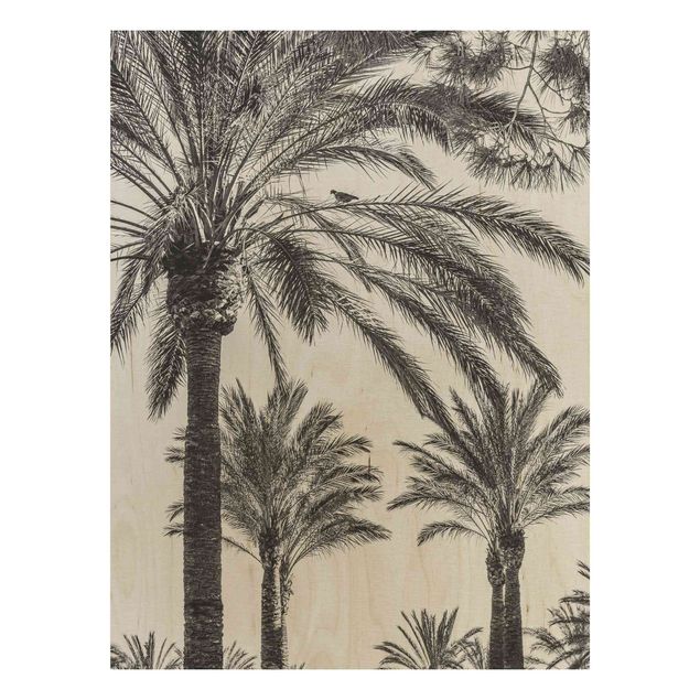Houten schilderijen Palm Trees At Sunset Black And White