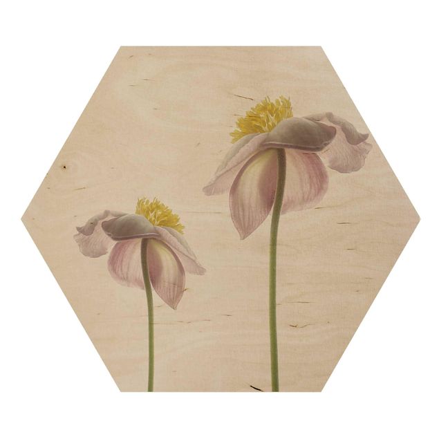 Hexagons houten schilderijen Pink Anemone Blossoms