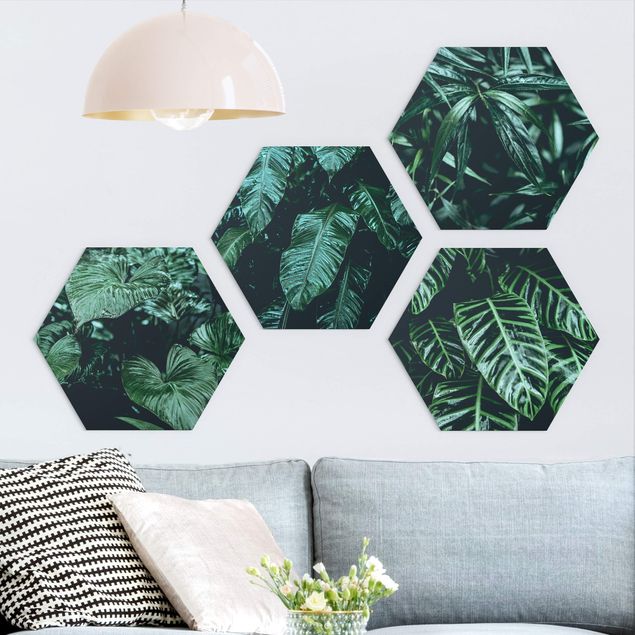 Hexagons Forex schilderijen - 4-delig Tropical Plants
