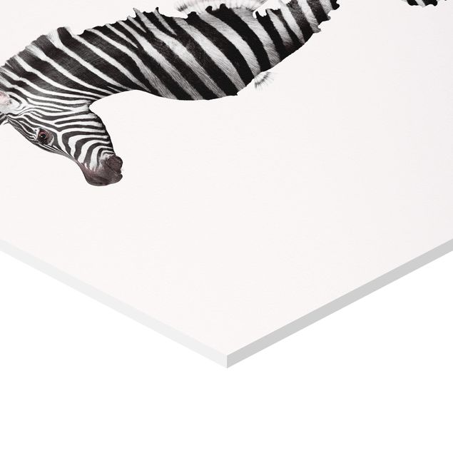 Hexagons Forex schilderijen Seahorse With Zebra Stripes