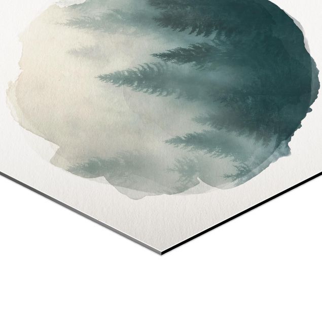 Hexagons Aluminium Dibond schilderijen WaterColours - Coniferous Forest In Fog